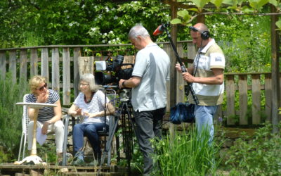 Im Fernsehen: SWR-Landesschau berichtet über meinen Start als MdL