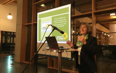 Mein Vortrag in Wimsheim: Bürgerbeteiligung und die Reform der Gemeindeordnung