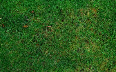 127.400 Euro für den kommunalen Sportstättenbau in Pforzheim und Neuhausen