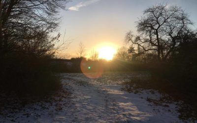 Land investiert mehr in den Naturschutz: Von zusätzlichen Mitteln für die Landschaftspflege profitiert auch der Enzkreis