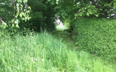 Naturräume erhalten, Flächenverbrauch mindern