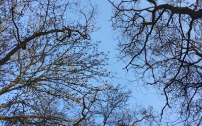 Bis zu 110.547,78 € zusätzlich für den Naturpark Stromberg-Heuchelberg