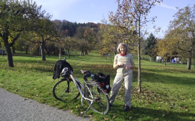 Fahrradpolitik Im Enzkreis