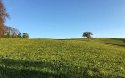 Erfolg für Grünes Bodenwertmodell