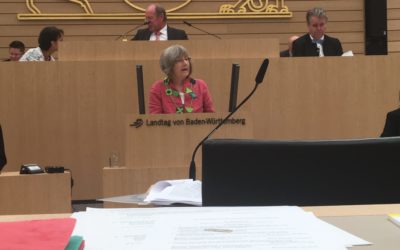 Rede im Landtag: Hochschulen stark machen- neue Perspektiven für den wissenschaftlichen Nachwuchs und Gründer