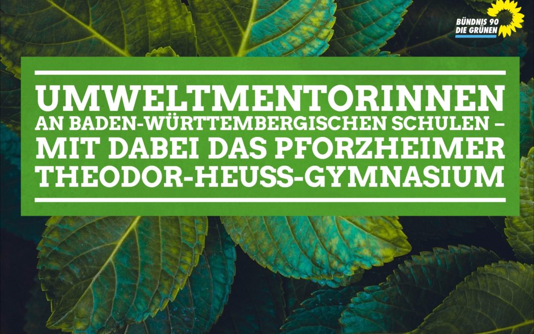 UmweltmentorInnen am Pforzheimer Theodor-Heuss-Gymnasium