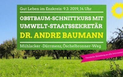 Herzliche Einladung: Obstbaum-Schnittkurs mit Umweltstaatssekretär Dr. Andre Baumann