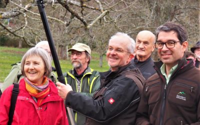 Politischer Baumschnittkurs mit Stefanie Seemann und Umweltstaatssekretär Andre Baumann