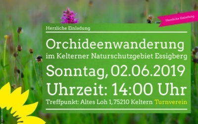 Orchideenwanderung im Kelterner Naturschutzgebiet Essigberg