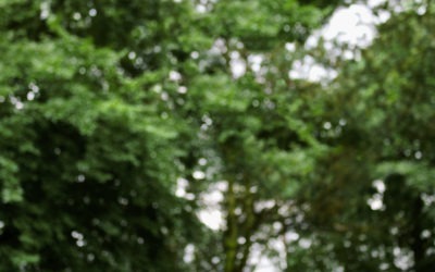 Herzliche Einladung zur Veranstaltung am 3.5. in Mühlacker