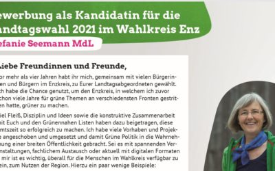 Bewerbung als Kandidatin für die Landtagswahl 2021 im Wahlkreis Enz