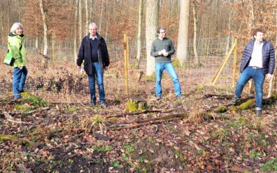 Besuch des Knittlinger Eichenwalds mit Dr. Andre Baumann