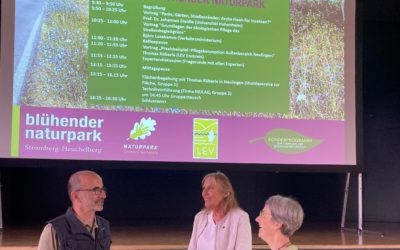 Straßenränder begrünen sorgt für Artenvielfalt