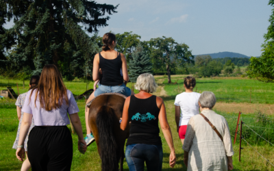 Heilpädagogisches Reiten im Enzkreis