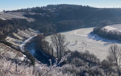 Politik trifft Waldbaumläufer